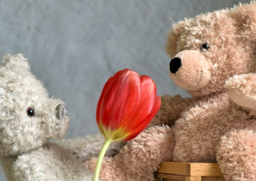 San Valentino ad Albisola